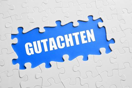 Gutachten Puzzle